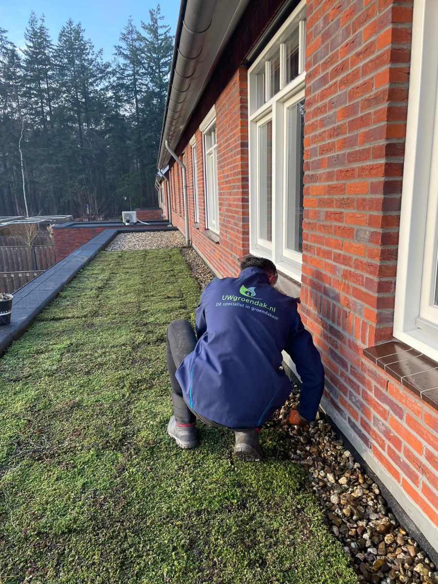 Bericht Bewoners Groene Hoogte ontvangen honderdste subsidie voor groen dak dit jaar bekijken